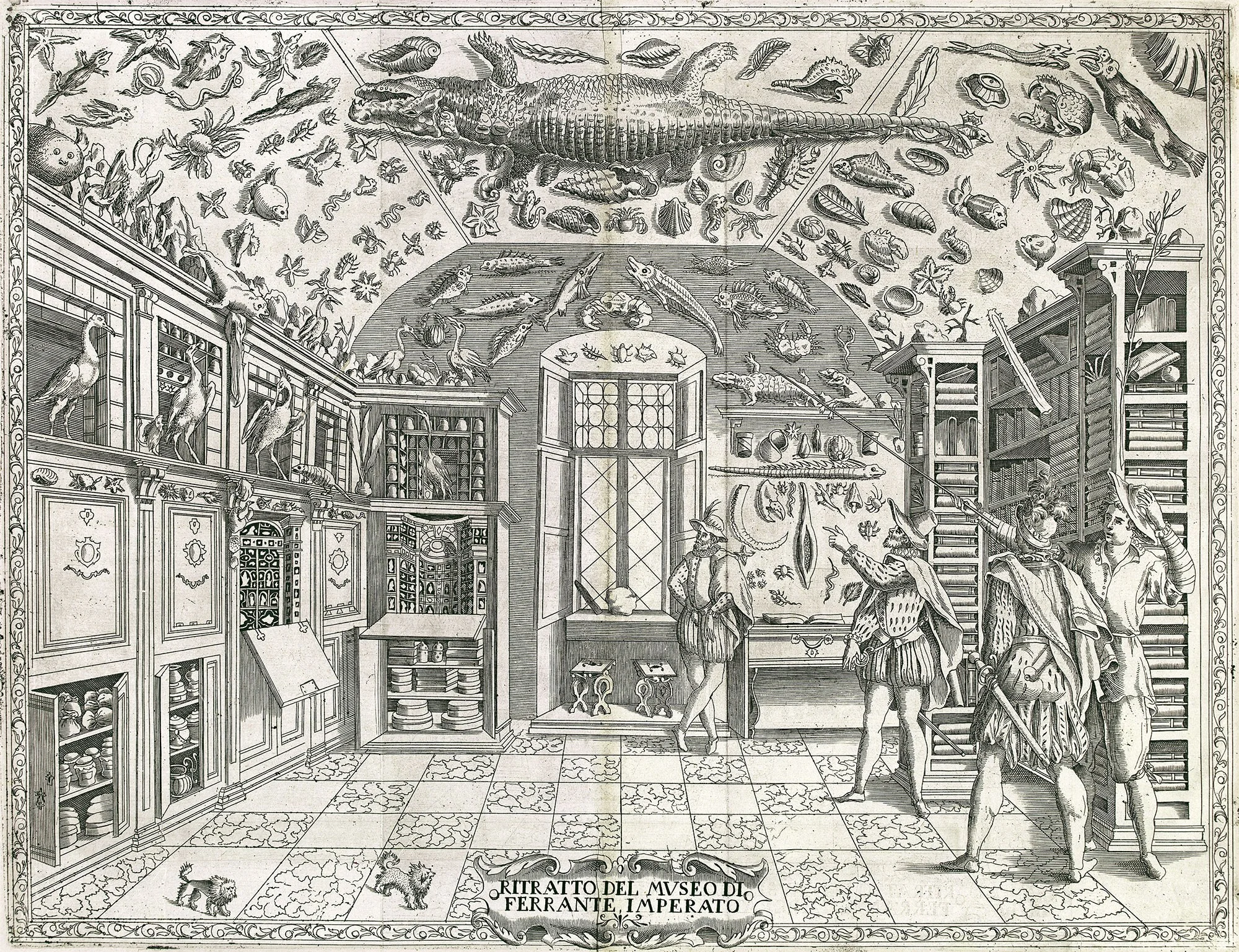 Cabinets of Curiosities - As Curious as Ever — KATRINE LEVIN Art